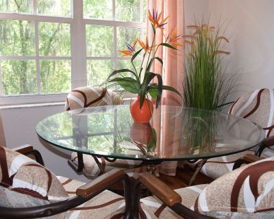 1 Bedroom 1BA 1000 ft Furnished Pet-Friendly Apartment For Rent in Lutz, FL