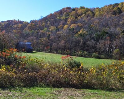 1 Bedroom Studio For Sale in Woodbury, TN