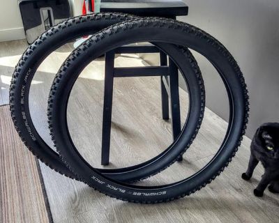 Schwalbe Black Jack MTB Tires x2
