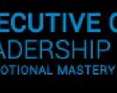 Find A Reliable Firm Offering Leadership & CEO Training!
