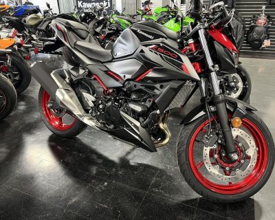 2024 Kawasaki Z500 SE ABS