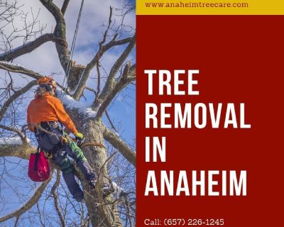 Tree Removal Anaheim, CA