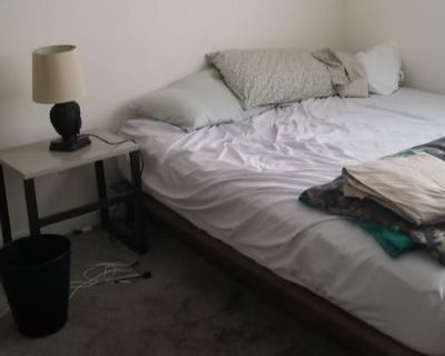 Private room with own bathroom in Apartment with 1 roomie , Brookhaven , GA 30329