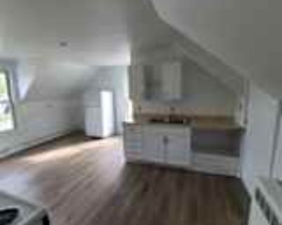 2 Bedroom 1BA 900 ft² Pet-Friendly Apartment For Rent in Old Town, ME 543 Main St unit 2A