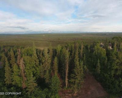 Unimproved Land For Sale in SOLDOTNA, AK