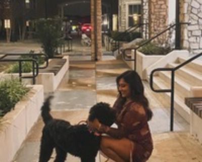 Sneha K is looking for a New Roommate in Dallas with a budget of $1000.00