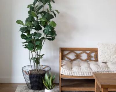 4 Bedroom 915 ft Apartment For Rent in Avenue du Cirque, Montreal