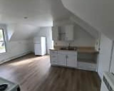 4 Bedroom 1BA 1000 ft² Pet-Friendly Apartment For Rent in Old Town, ME 543 Main St unit 2