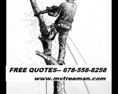🏡 ☎~TREE CUT 678-558-8258 Removal Service's www.mytreeman.com