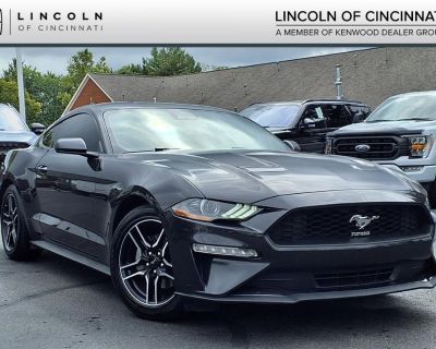 Dark Matter Gray Metallic 2022 Ford Mustang EcoBoost EcoBoost 2.3L I4 GTDi DOHC Turbocharged VCT 10-Speed Automatic CARFAX One-Owner. Clean CARFAX. Although every reasonable effort has been made to ensure the accuracy of the information contained on this site, absolute accuracy cannot be guaranteed. All vehicles are subject to prior sale. Price does not include applicable tax, title, license, a...