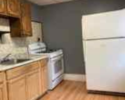 1 Bedroom 1BA 600 ft² Pet-Friendly Apartment For Rent in Port Jervis, NY 137 Ball St unit 2