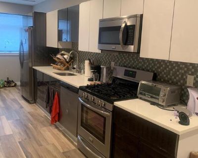 1701 South St # 1F. Renovated studio with IN UNIT laundry at 17th and South! Hardwood Flooring, Recessed Lighting, Stainless Steel Appliances & Backsplash, Stone Countertop. Shared outdoor space for all tenants and trash area that is collected by the building. Easy access to Penn, Graduate Hospital, and a few short Blocks to Rittenhouse! Pets welcome (with certain breed restrictions) with one t...