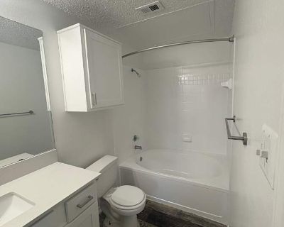 Private room with shared bathroom in an apartment with 1 roomie, Plano, TX 75074