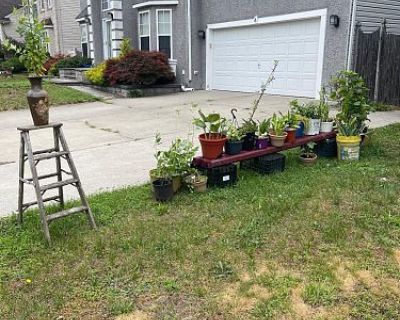 Plant Sale / Yard Sale