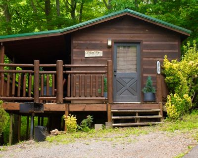 1 Bedroom 1BA 396 ft Single Family House For Sale in Sevierville, TN