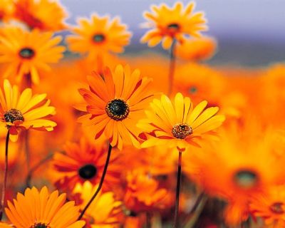 Kimberly - Needs a Room on iROOMit or a Room