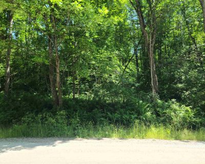 Lots and Land For Sale in Rochester, VT