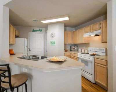 3 Bedroom 2BA 1100 ft Pet-Friendly Apartment For Rent in Denton, TX