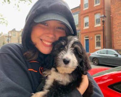 LGBTQ+ friendly * Non-smoker * Student * Interested in teaming-up. Budget: $800 per month. Ready to move: December 31. Looking for myself. Hey! I m Karis, and I m looking for 1 or more roommates to team up and find an apartment in the Portsmouth, NH area in December. I m a quiet person, I m organized and clean. I definitely believe in keeping shared spaces clean. I love to ski, bake, watch movi...