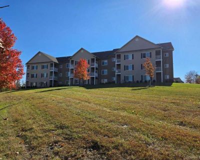 1 Bedroom 1BA 970 ft Apartment For Rent in Chester, NY