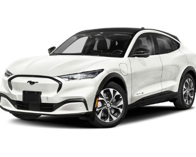 New 2025 Ford Mustang Mach-E For Sale at McGovern Ford of Lowell | VIN: 3FMTK3SU5SMA46153