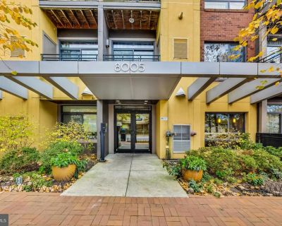 2 Bedroom 1BA 1043 ft Apartment For Rent in Silver Spring, MD