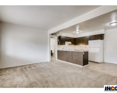 1 Bedroom 1BA 620 ft Apartment For Rent in Denver, CO