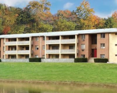 1 Bedroom 1BA 573 ft Pet-Friendly Apartment For Rent in Parkesburg, PA