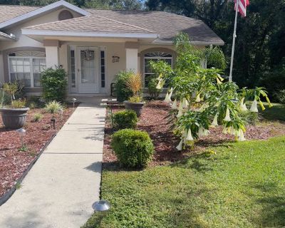 David Schultz (Has a House). Room in the 1 Bedroom 1BA House For Rent in Hernando, FL
