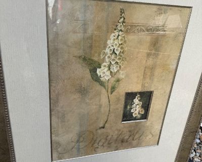 Heavy solid frame . MESSAGE to arrange pick up time.