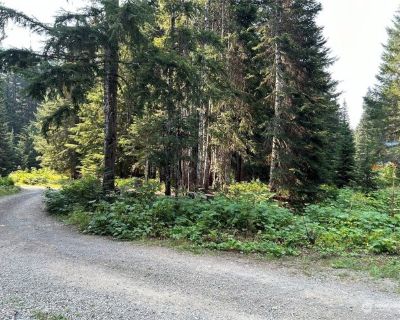 Alaska Mountain Way Lot,snoqualmie Pass, Plot For Sale