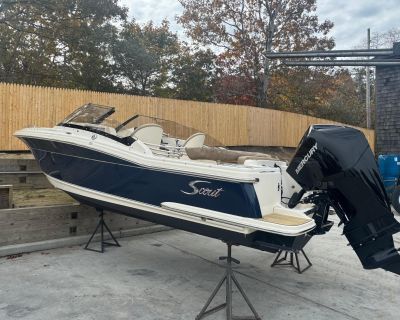 Scout 215 Dorado 2024