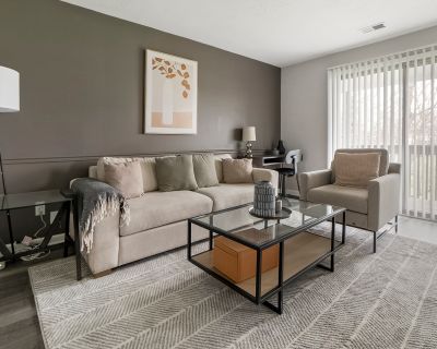 1 Bedroom 1BA 649 ft Furnished Pet-Friendly Apartment For Rent