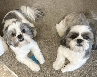 We Love your Pets! Walking,Petsitting,Nails,Groom! Text Will :778-533-1367