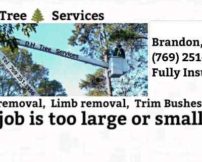 We will visit your property, examine your trees , and give you a free estimate. We have the lowest prices in Mississippi. Call DH Tree Removal at...769 251-3956