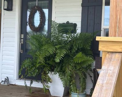 Available on: now. Furnished. Pet friendly. Parking available * Internet included * LGBTQ+ friendly * Cat friendly * Dog friendly * Students welcome * 40+ years welcome Alec will require background checks for this room Learn more. AVAILABLE NOW!! $940/mo Up for rent is aBeautiful private one bedroom, private one bath with private entry and patio. Right in downtown.Beautiful Historic home away f...