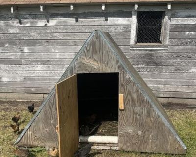 Animal Huts