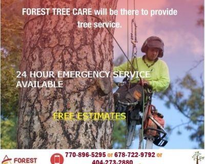 Forest Tree Care Tree Service  (678) 722-9792
