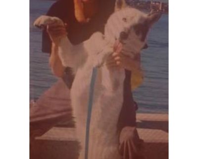 Wanted room or trailer for rent