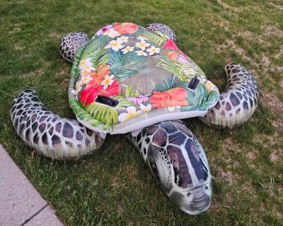 Giant inflatable turtle