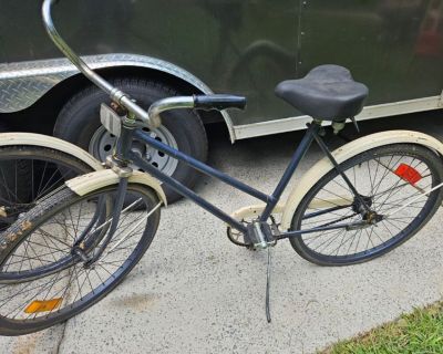 2 Vintage Bikes men's women's (no name)