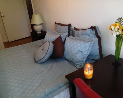 Pet friendly $900 per month room to rent in Washington, D. C.