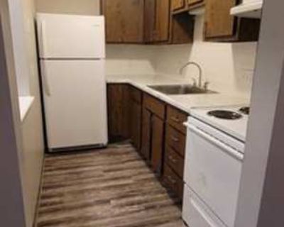 1 Bedroom 1BA 542 ft Apartment For Rent in Sturgis, MI