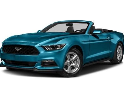 Used Ford Cars, Trucks For Sale Denver | Phil Long