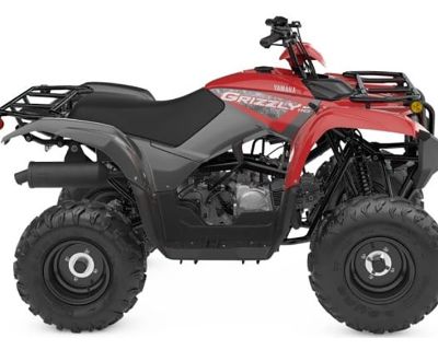 2025 Yamaha Grizzly 110 ATV Kids Norfolk, NE
