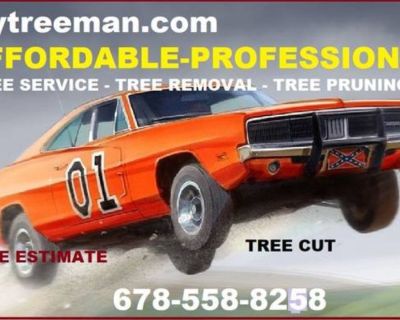 AFFORDABLE TREE SERVICE Over 96 5 star reviews Google