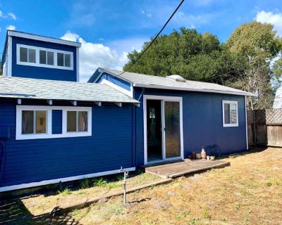 Pet Friendly Property in Petaluma with Private Yard!. image_url. In unit laundry Pet friendly Some paid utils Unit Amenities in unit laundry Property Amenities pet friendly on-site laundry cats allowed dogs allowed. Pets allowed. 4 Bedroom. 2 Bathroom. 2600 ft