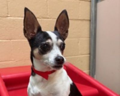 I'm looking for a room or a roommate, Read more about me on Diggz