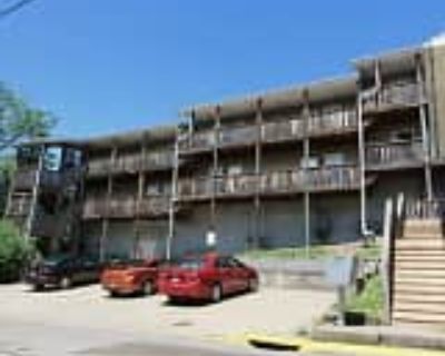 1 Bedroom 1BA 550 ft² Apartment For Rent in Morgantown, WV 357 Dille St