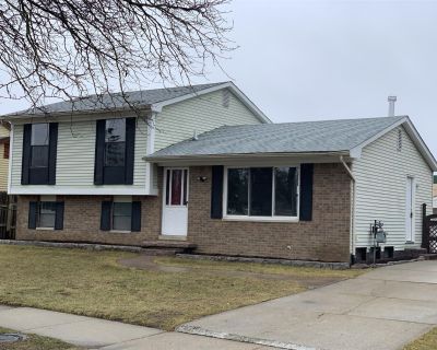 4 Bedroom 2BA Apartment For Rent in Canton, MI